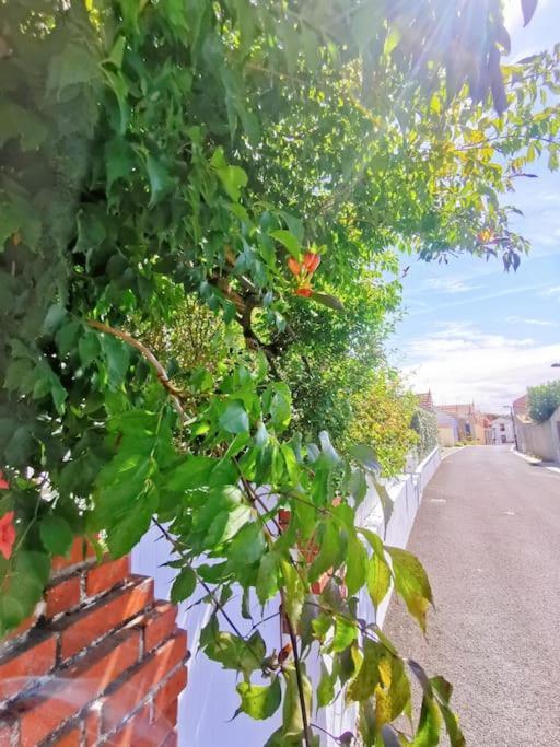 Au Coin Fleuri Holiday home
