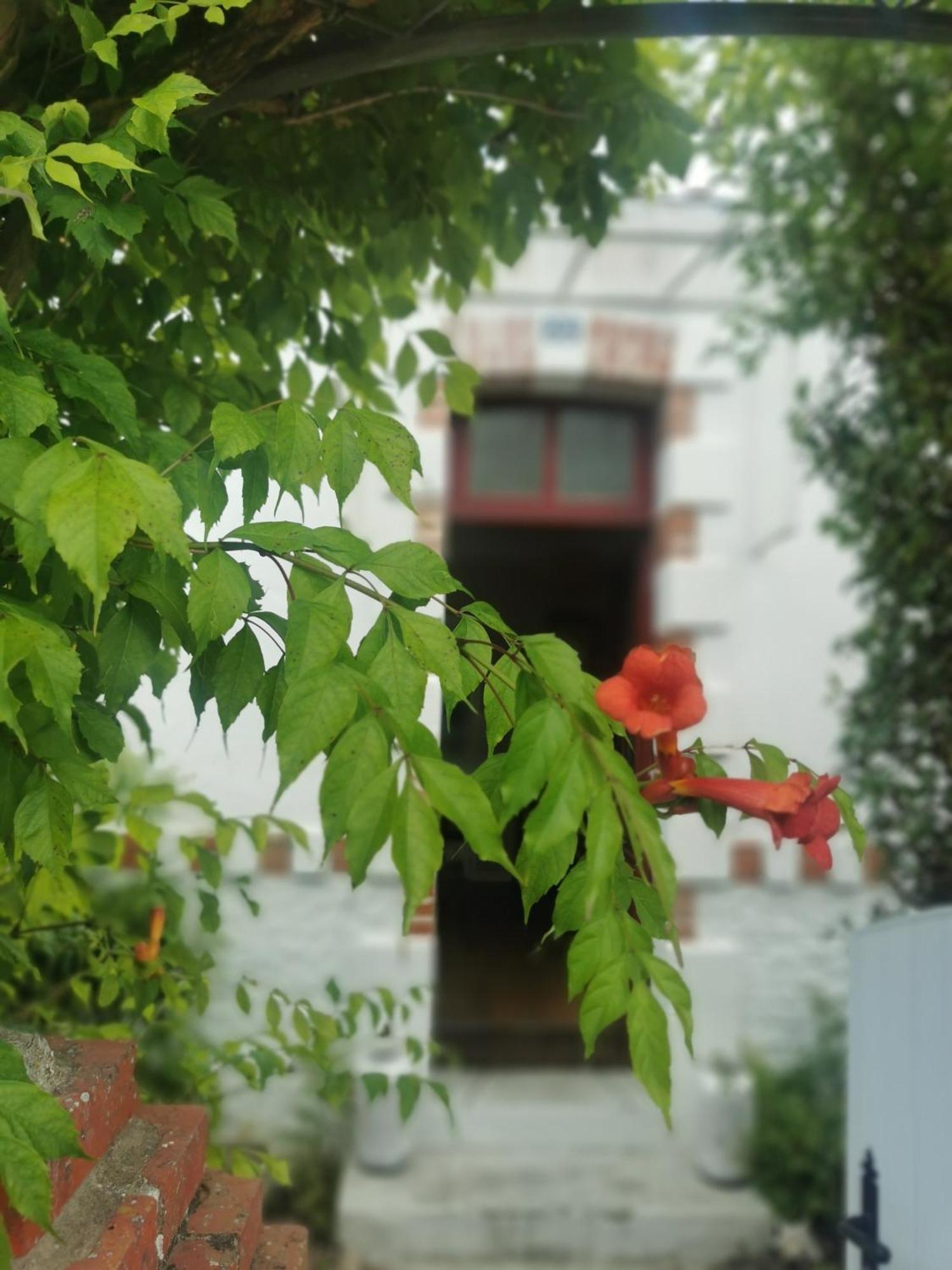 Au Coin Fleuri Holiday home *